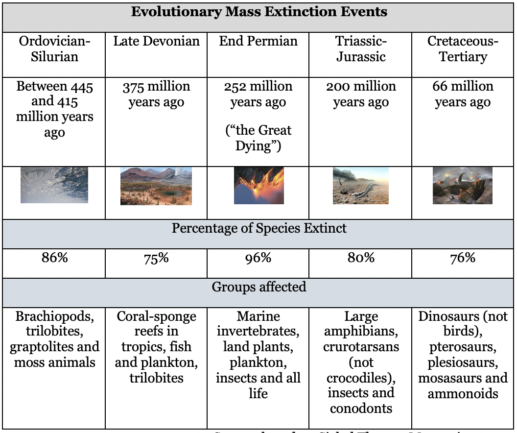Clavier Yamaha PSR-E383, 61 touches, 650 couleurs de Guinea | Ubuy, image size:1056x884